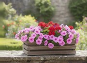 AMADEA Drevený obal na kvetináč tmavý, 62x21,5x17cm Český výrobok