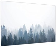 Obraz - Zahmlený les (90x60 cm)