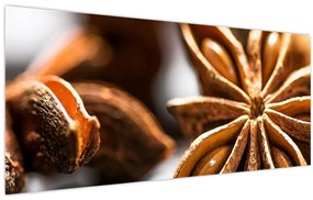 Obraz - Aníz (120x50 cm)