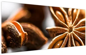 Obraz - Aníz (120x50 cm)