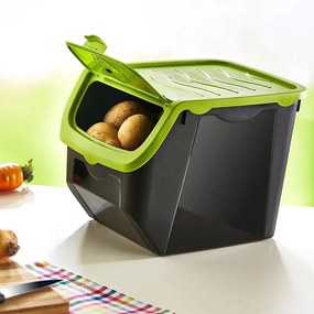 Orion Skladovací čierny box na cibuľu a zemiaky,zelené veko (12l)