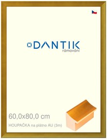 DANTIK rám na obraz 60x80 | HOUPAČKA na plátno AU (Plexi Čiré)