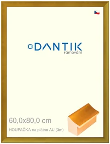 DANTIK rám na obraz 60x80 | HOUPAČKA na plátno AU (Plexi Čiré)