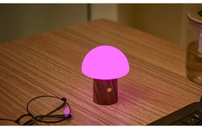 Biela/v tmavoprírodnej farbe LED stolná lampa (výška 7 cm) Alice Mushroom – Gingko