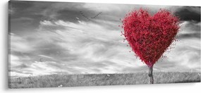 Obraz - Srdce korunou stromu (120x50 cm)