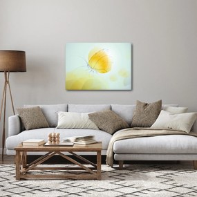 Obraz - Žltý motýľ (70x50 cm)