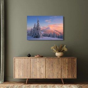 Obraz - Zimná krajina (90x60 cm)