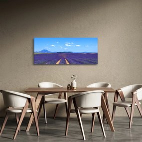 Obraz - Levanduľové pole (120x50 cm)