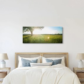 Obraz letnej lúky (120x50 cm)