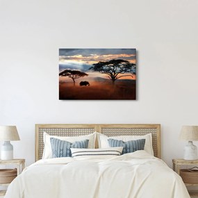 Obraz - Národný park Serengeti, Tanzánia, Afrika (90x60 cm)
