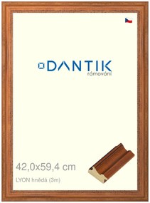 DANTIK rám na obraz 42x59,4 | LYON hnědá (Plexi Čiré)