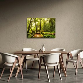 Sklenený obraz machové džungle (70x50 cm)