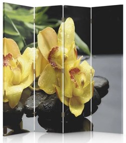 Ozdobný paraván, Žlutá orchidej - 145x170 cm, štvordielny, obojstranný paraván 360°