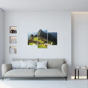Obraz - Machu Picchu (90x60 cm)