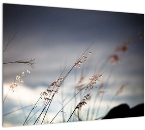 Sklenený obraz - Lúčne kvety pri jazere (70x50 cm)