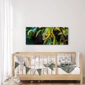 Obraz chameleóna (120x50 cm)