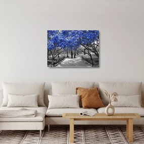 Obrázok - Modré stromy, Central Park, New York (70x50 cm)