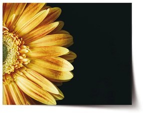 Sablio Plagát Žltá gerbera - 120x80 cm