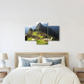 Obraz - Lamy v Machu Picchu (90x60 cm)