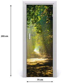 Fototapeta na dvere chodník v lese 75x205 cm