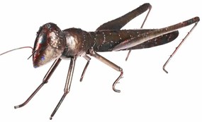 Kovová záhradná dekorácia Kobylka, 37 x 12 x 14 cm