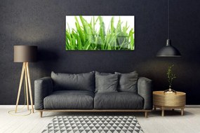 Obraz na skle Tráva rastlina 140x70 cm