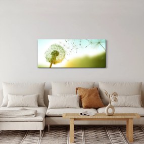 Obraz - Púpava vo vetre (120x50 cm)