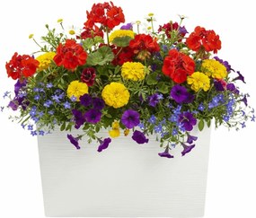 PLASTOVÝ KVETINÁČ BLOOM RIFLO 36X56X20 CM KRÉMOVÁ