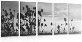 5-dielny obraz steblá trávy na poli v čiernobielom prevedení - 200x100