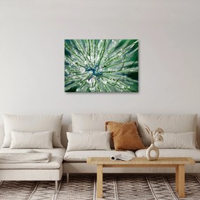 Obraz - Makro snímka kvetu (70x50 cm)