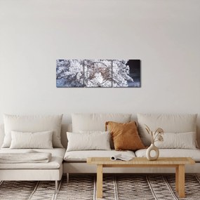 Obraz - Snehobiely strom (s hodinami) (90x30 cm)