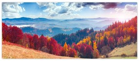 Obraz farebné jesenné krajiny (120x50 cm)
