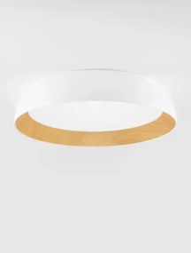 LED stmievateľné bielo-drevené moderné stropné svietidlo Sigi 60