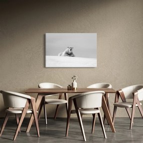 Obraz - Ľadový medveď (90x60 cm)