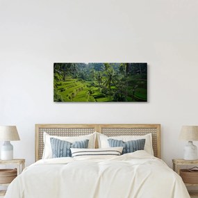 Obraz ryžových terás Tegalalang, Bali (120x50 cm)