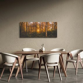 Obraz jesenného lesa (120x50 cm)