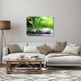 Sklenený obraz - Lotus (70x50 cm)