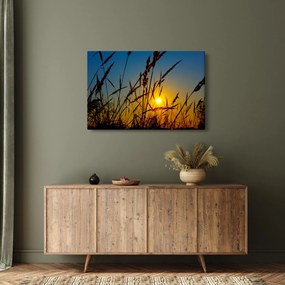 Obraz - Západ slnka v lúke (90x60 cm)