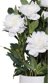 Umelá pivonka v krémovom kvetináči PEONY, výška 70 cm, biela