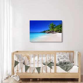 Obraz pláže na Praslin ostrove (90x60 cm)