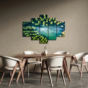 Obraz - Hmlou zahalený les (150x105 cm)