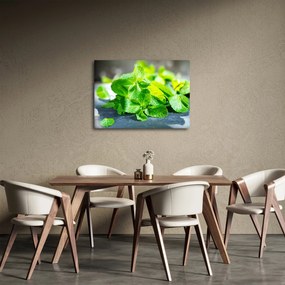 Obraz mäty (70x50 cm)