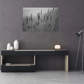 Obraz - Steblá trávy (90x60 cm)