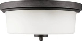 Westinghouse 6325140 - Stropné svietidlo CEDRIC 2xE27/40W/230V priemer 33 cm