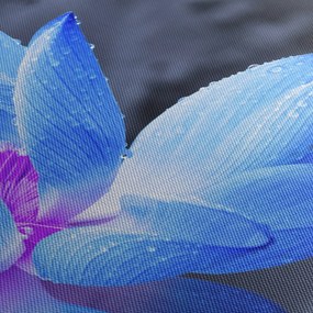 Obraz kvetu v detaile (120x50 cm)