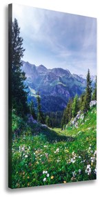 Vertikálny foto obraz tlačený na plátne Alpy ocv-122073604