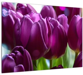 Sklenený obraz tulipánov (70x50 cm)