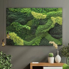 DUBLEZ | Drevený obrazu machu - Cesta prírody