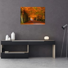 Obraz - Jeseň Alej stromov (70x50 cm)