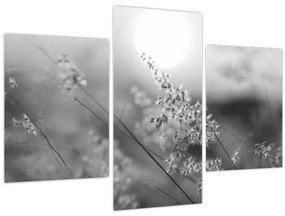 Obraz - Jesenná lúka (90x60 cm)